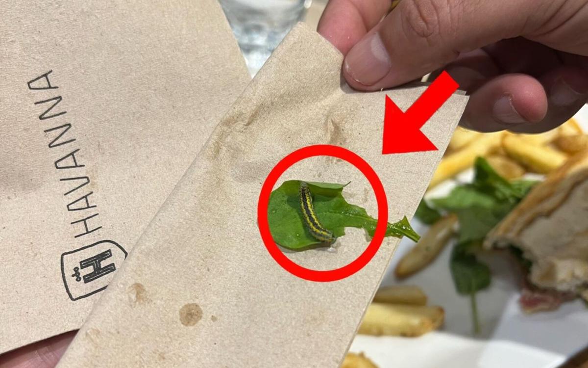 Luciana Milessi escrachó a un Havanna porteño por el desagradable hallazgo de un gusano en la comida